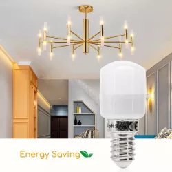 Żarówka LED do Lodówki T26 E14 2,5W - 8433325284091