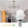 Żarówka LED do Lodówki T26 E14 2,5W - 8433325284107