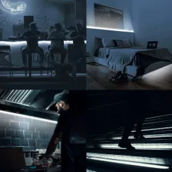 Taśma LED niskiego napięcia 5m COB - 8433325293949