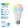 Inteligentna żarówka WiFi WB A60 E27 12W RGB+CCT - 8433325295127