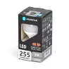 LED G45 E14 3W 6500K - 8433325310356