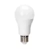 LED A5 A60 E27 24W 6500K - 8433325312862