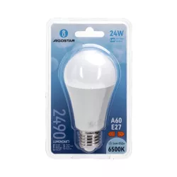 LED A5 A60 E27 24W 6500K - 8433325312862