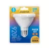 LED PAR30 E27 12W - 8433325316037