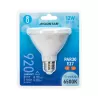 LED PAR30 E27 12W - 8433325316044