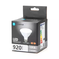 Żarówka punktowa skupiona LED PAR30 E27 12W 6500k - 8433325316105