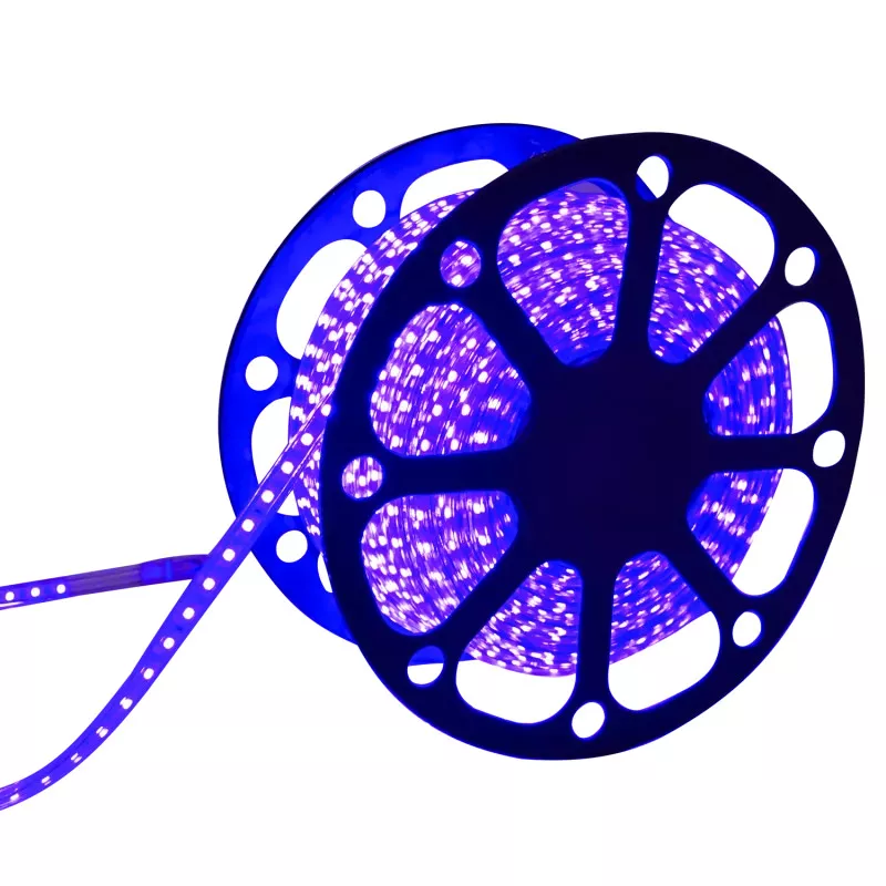 Niebieska taśma LED 230V wysokonapięciowa 8mm 60led/m szpula 50mb IP65 - 8433325188580