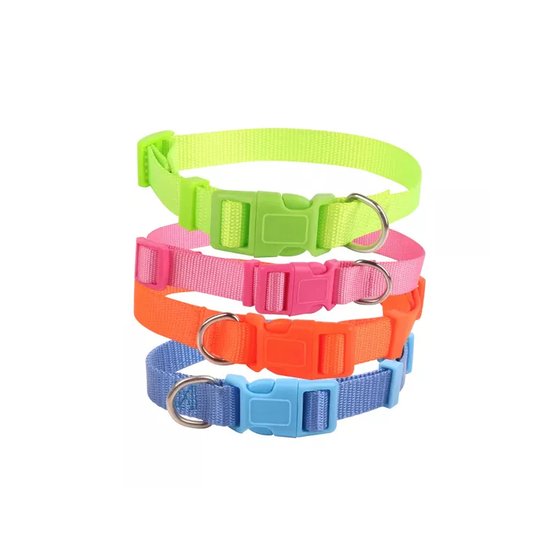 Fluorescent collars - 8719138017683