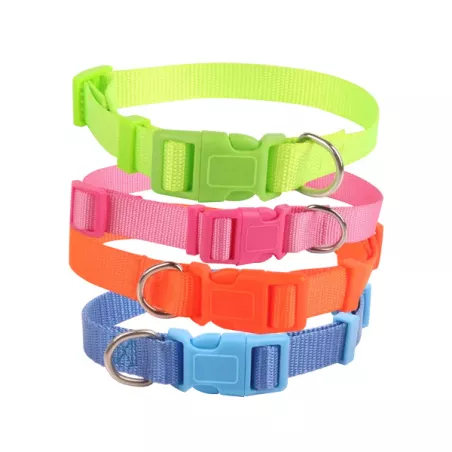 Fluorescent collars - 8719138017683