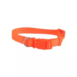 Fluorescent collars - 8719138017683