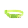 Fluorescent collars - 8719138017683