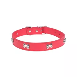 Metalowa kostka do obroży - 8719138017973