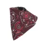 Trójkątna bandana z nadrukiem - 8719138018024