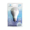 LED A67 E27 20W - 8433325191153