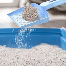 Bentonitowy żwirek 3.8l/3.2kg dla kota ziarno 1-4mm zapach cytrynowy - 8719138048311