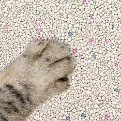 Bentonitowy żwirek 3.8l/3.2kg dla kota ziarno 1-4mm zapach cytrynowy - 8719138048311