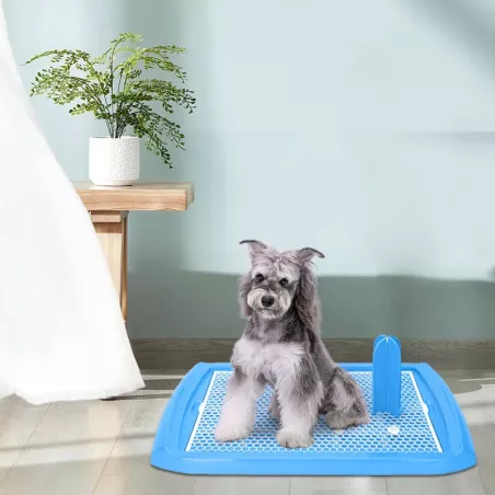 Kuweta mata dla psa szczeniaka rozmiar L 70.5x46.5cm z słupkiem - 8719138049981