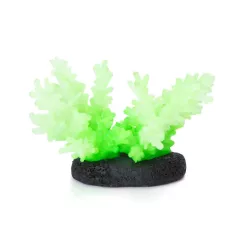 Świecący koral do akwarium 10x7cm fluorescencyjna kolorowa ozdobna - 8719138050796