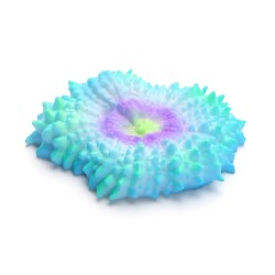 Świecący koral do akwarium 8x1.8cm fluorescencyjna kolorowa ozdobna - 8719138050833