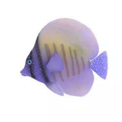 Zebrasoma sztuczna barwna rybka fluorescencyjna dekoracja do akwarium - 8719138050857