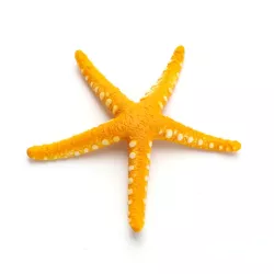 Rozgwiazda sztuczna realistyczna fluorescencyjna dekoracja do akwarium - 8719138050970