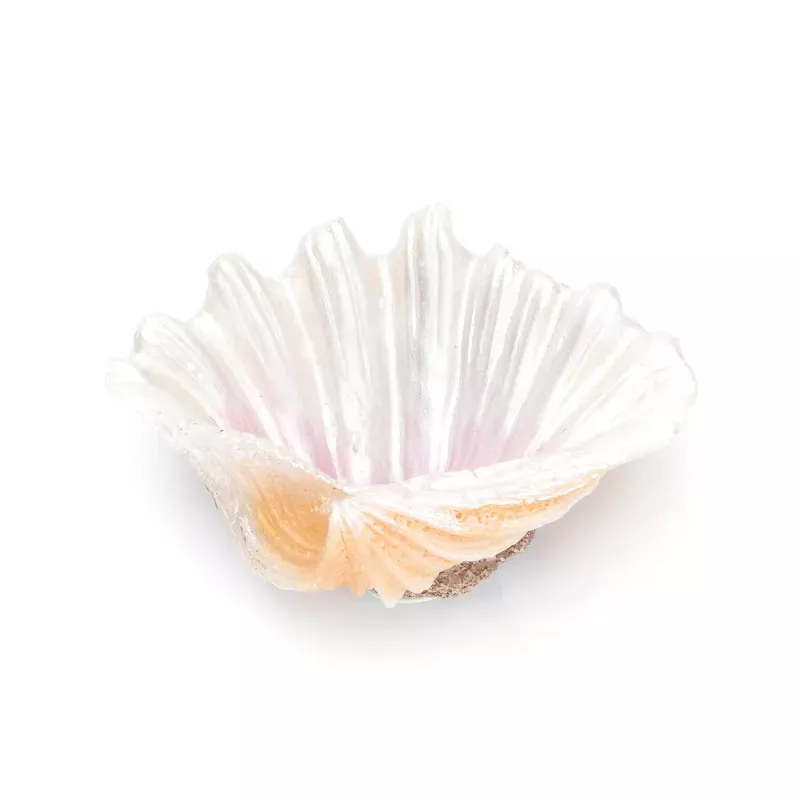 Otwarta muszla 10.5x8x4.5cm dekoracja z żywicy i kryjówka dla rybek - 8719138051304