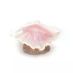 Otwarta muszla 10.5x8x4.5cm dekoracja z żywicy i kryjówka dla rybek - 8719138051304