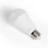 LED A60 E27 19W - 8433325192433