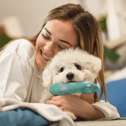 Pluszowa dźwiękowa zabawka dla psa - łapa niedźwiedzia - 8719138167852