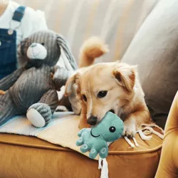 Pluszowa ośmiornica dźwiękowa zabawka dla psa go gryzienia i łapania - 8719138169870