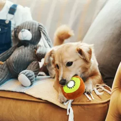 Pluszowa dźwiękowa zabawka dla psa - owoce - 8719138173914
