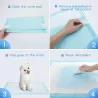 PET PAD WITH ADHESIVE TAPE STICKERS L60*W60CM WHITE&BLUE - 8719138196456