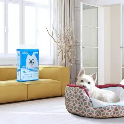 PET PAD WITH ADHESIVE TAPE STICKERS L60*W60CM WHITE&BLUE - 8719138196456