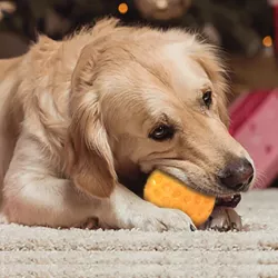 Piszcząca piłka dla psów zabawka do gryzienia interaktywna 5.4 cm - 8719138197675