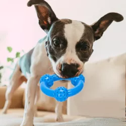 Pierścień dentystyczny z kulkami φ9.5cm zabawka dla psa i szczeniaka - 8719138197729