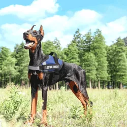 Uprząż dla psa S wytrzymałe komfortowe szelki obwód klatki 46-62 cm - 8719138199396