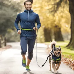 Elastyczny łańcuch do smyczy dla psa - 8719138200290