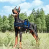 Uprząż dla psa L wytrzymałe odblaskowe szelki obwód klatki 50-70 cm - 8719138200337