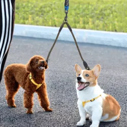 Odblaskowa okrągła smycz łańcuchowa z podwójnym haczykiem - 8719138200924