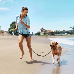 Odblaskowa smycz z okrągłej linki - 8719138201310