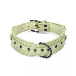 Obroża dla dużego psa - 8719138201365