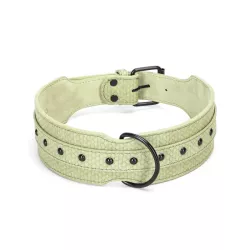 Obroża dla dużego psa - 8719138201372