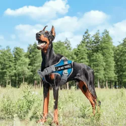 Uprząż dla psa XS wytrzymałe odblaskowe szelki obwód klatki 41-49 cm - 8719138201396