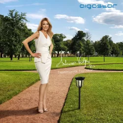 Latarenki ogrodowe 2 szt lamp solarnych do ogrodu, patio, trawników - 8433325196103