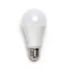 LED A67 E27 20W 6500k - 8433325199302