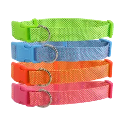 Obroża - 8719138036318