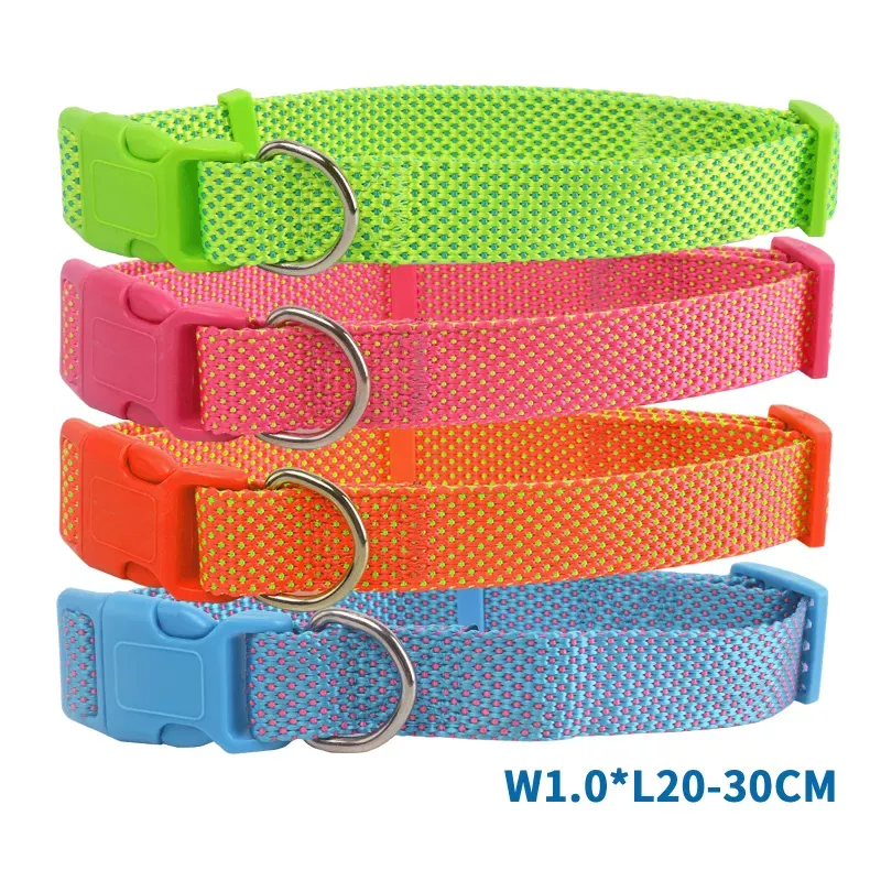 Obroża - 8719138036288