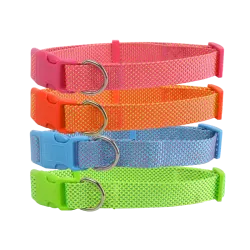 Obroża - 8719138036288