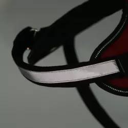 Szelki dla zwierząt - 8719138055494