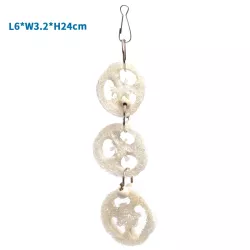 Jadalna huśtawka Luffa zabawka dla ptaków 6x3.2x24cm do powieszania - 8719138224593